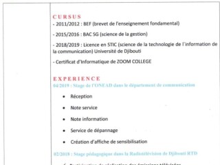 jeune-diplomee-stic-avec-experience-en-transit