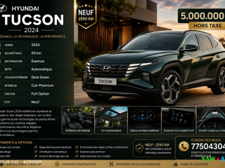 hyundai-tucson-2024-essence-boite-automatique-neuf