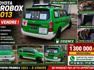 toyota-probox-2014-essence-en-bon-etat
