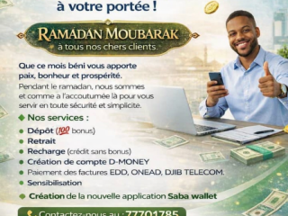 service-d-money-complet-avec-depot-retrait-et-paiements