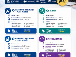 formation-informatique-complete-a-djibouti-maintenance-programmation-expert