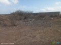 spacious-2178-m2-land-near-east-africa-pk12-arta-perfect-for-your-dream-project-small-0