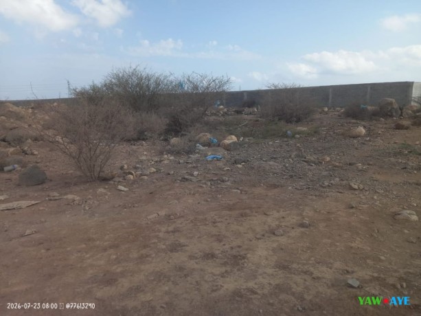 spacious-2178-m2-land-near-east-africa-pk12-arta-perfect-for-your-dream-project-big-1