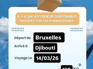 vagabox-votre-service-fiable-pour-lenvoi-et-la-reception-de-colis-sur-yawaaye