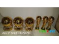 ballon-dor-world-cup-limited-edition-all-ps2-ps3-ps4-games-programs-available-small-1