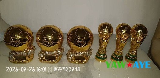 ballon-dor-world-cup-limited-edition-all-ps2-ps3-ps4-games-programs-available-big-1