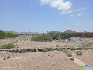 terrain-de-300-m2-pres-du-stade-et-gare-routiere-a-ali-sabieh-opportunite-a-ne-pas-manquer