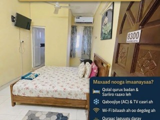 confortable-studio-familial-meuble-avec-cuisine-et-salle-de-bain-parfait-pour-vos-sejours
