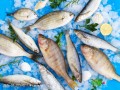 livraison-de-poissons-frais-decoupes-a-domicile-variete-exquise-sur-yawaaye-small-1