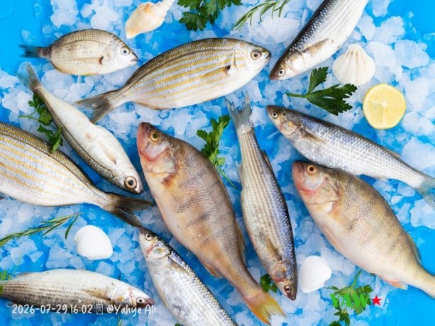 livraison-de-poissons-frais-decoupes-a-domicile-variete-exquise-sur-yawaaye-big-1