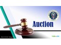 encheres-live-exclusives-a-lambassade-americaine-de-djibouti-ne-ratez-pas-small-0