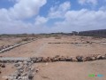 terrain-de-300-m2-a-damerjog-avec-eau-electricite-opportunite-a-saisir-sur-yawaaye-small-0