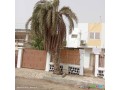 superbes-duplex-f4-a-louer-au-heron-parfait-pour-votre-nouvelle-vie-small-1