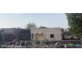 terrain-commercial-750-m2-avec-batiment-4-chambres-a-balbala-small-1