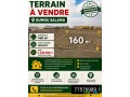 terrain-160-m2-avec-titre-foncier-a-oumou-salama-small-0