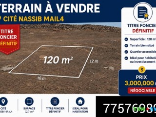 terrain-120-m2-avec-titre-foncier-a-nassib-mail4