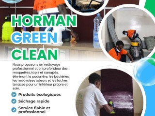 nettoyage-ecologique-a-domicile-de-canapes-tapis-et-moquettes