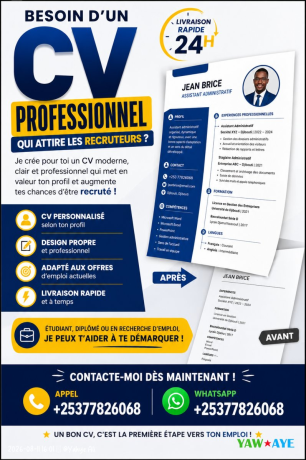 creation-de-cv-professionnel-moderne-et-personnalise-rapide-big-1