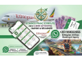 echange-djf-vers-e-birr-entre-djibouti-et-lethiopie-small-1