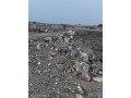 terrain-5000-m2-proche-grand-markas-religieux-pk23-small-1