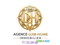 terrains-et-maisons-a-vendre-a-barwaqo-cite-nassib-saline-ouest-opportunite-a-saisir-small-0