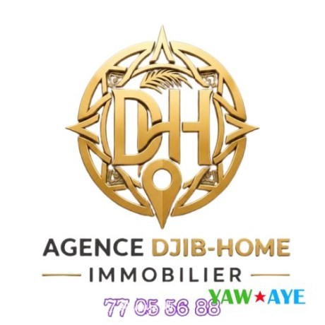 terrains-et-maisons-a-vendre-a-barwaqo-cite-nassib-saline-ouest-opportunite-a-saisir-big-0