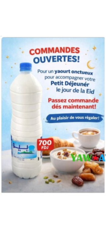 delicieux-yaourt-fait-maison-pour-leid-savourez-la-tradition-big-0