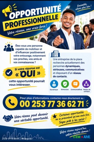 offre-demploi-pour-personnes-dynamiques-avec-reseau-professionnel-big-1