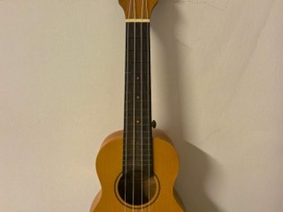 ukulele-compact-en-excellent-etat-ideal-pour-musicien-amateur-sur-yawaaye