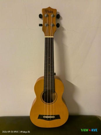 ukulele-compact-en-excellent-etat-ideal-pour-musicien-amateur-sur-yawaaye-big-1