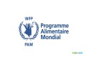 join-our-team-assistant-manager-for-program-sc4-in-djibouti-exciting-opportunity-small-0