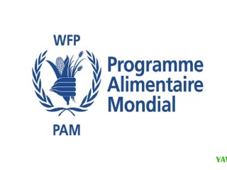 join-our-team-assistant-manager-for-program-sc4-in-djibouti-exciting-opportunity