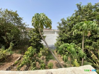 charming-3-bedroom-furnished-home-with-garden-vegetable-patch-in-arta