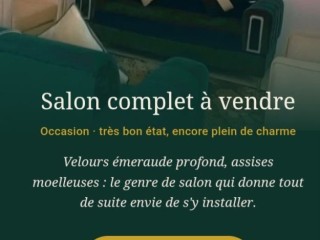 superbe-salon-complet-emeraude-doccasion-en-excellent-etat-offrez-vous-le-luxe
