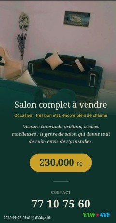superbe-salon-complet-emeraude-doccasion-en-excellent-etat-offrez-vous-le-luxe-big-0