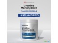 boost-your-workout-with-pure-creatine-monohydrate-powder-for-peak-performance-small-1