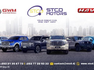 recherchons-chargee-marketing-digital-rejoignez-stcd-motors-sur-yawaaye