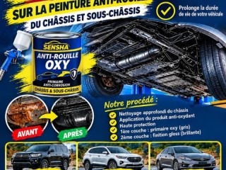 rust-resistant-paint-for-chassis-undercarriage-ultimate-protection