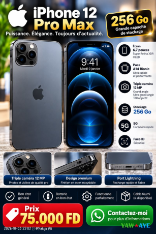 iphone-12-pro-max-256gb-excellent-condition-great-price-on-yawaaye-big-1