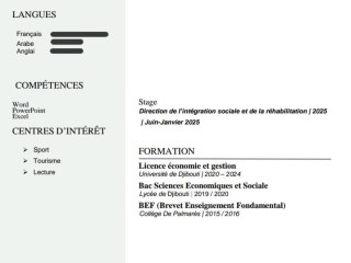 jeune-diplome-polyvalent-en-quete-demploi-ou-stage-immediat-pret-a-briller