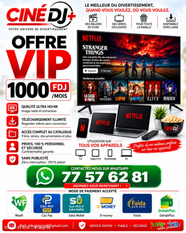 abonnement-netflix-fiable-activation-rapide-support-247-sur-yawaaye-big-0