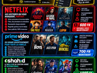 streaming-abonnements-netflix-prime-video-crunchyroll-a-djibouti-profitez-maintenant