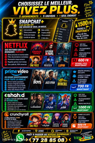 streaming-abonnements-netflix-prime-video-crunchyroll-a-djibouti-profitez-maintenant-big-1