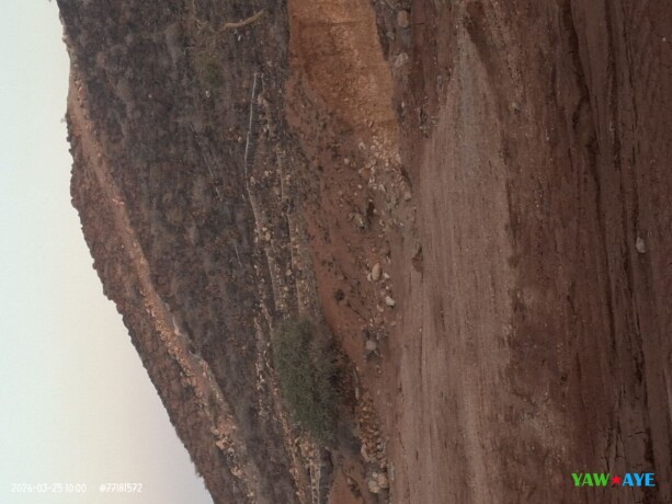 terrain-de-200m2-idealement-situe-a-arta-opportunite-a-saisir-big-1