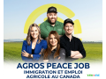 ouvrier-paysagiste-motive-pour-amenagement-et-entretien-despaces-exterieurs-small-0