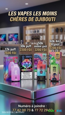 cigarettes-electroniques-et-vapes-puff-multiples-saveurs-et-capacites-big-0