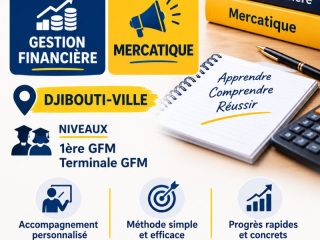 cours-de-soutien-en-gestion-financiere-et-mercatique-a-domicile