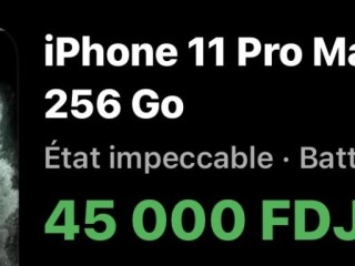 apple-iphone-11-pro-max-256-go-noir-gris-mat-en-bon-etat