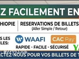 billets-de-train-djibouti-ethiopie-service-de-reservation-en-ligne