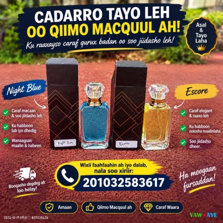 parfums-de-qualite-aux-senteurs-irresistibles-a-prix-abordables-big-0